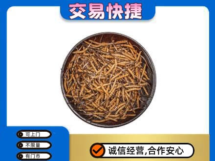 龙口市高价回收散虫草